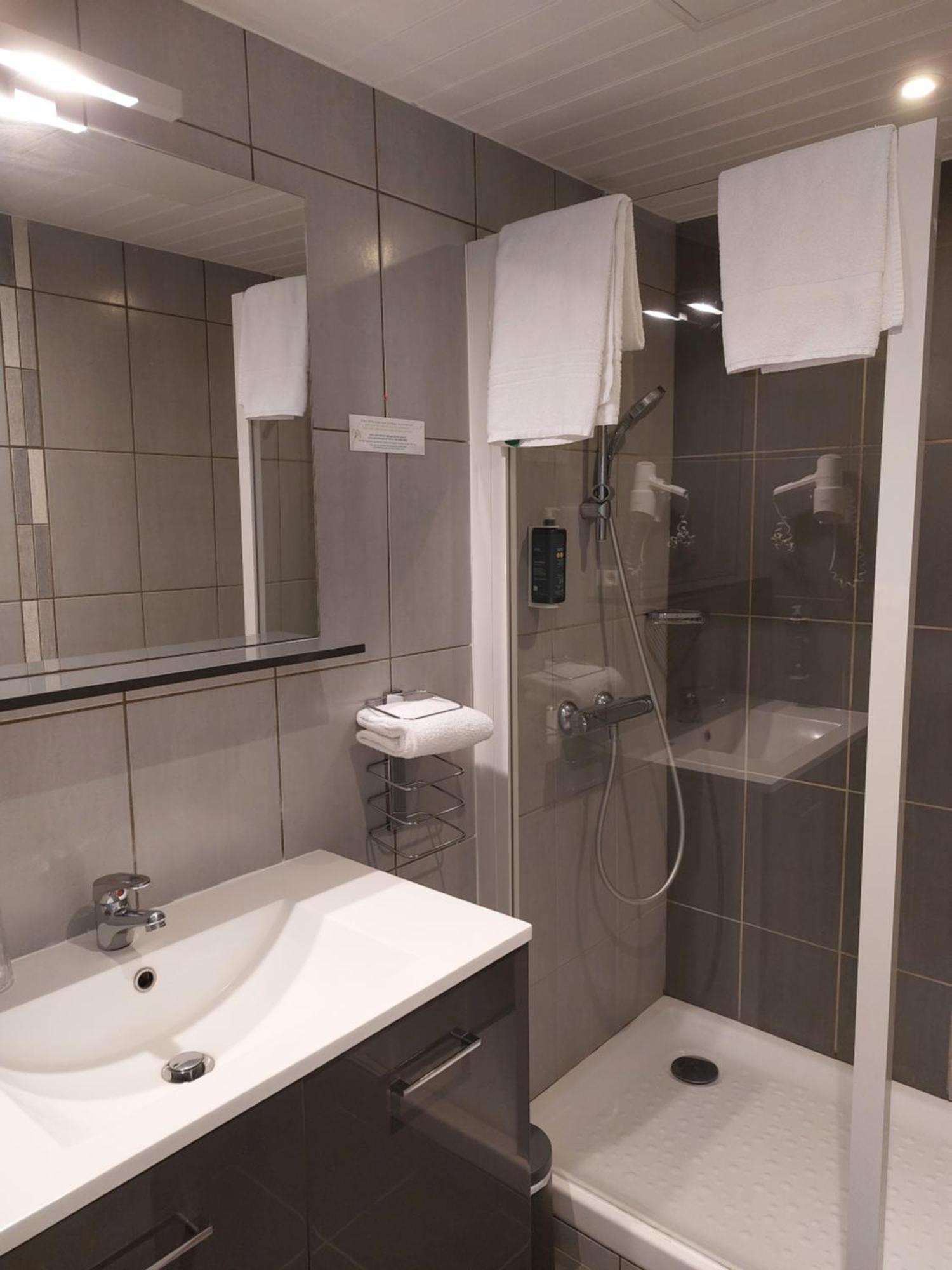 Brit Hotel Roanne - Le Grand Hotel מראה חיצוני תמונה